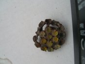 PIC_0010.JPG
