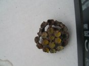 PIC_0009.JPG