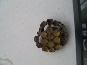 PIC_0008.JPG