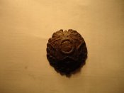 DSC03406.JPG