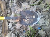 IMG_20160403_182616.jpg