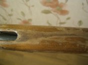 IMG_0864.JPG