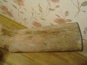 IMG_0866.JPG
