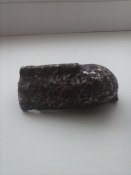 CAM00125.jpg
