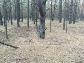 IMG_5989.JPG