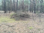 IMG_5991.JPG