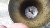 20160404_095945.jpg