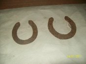 100_2471.jpg