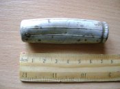 DSC01529.jpg