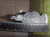 SDC16829.JPG