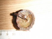 DSCF5516.jpg