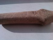 IMG_20160404_164816.jpg