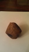 IMAG0850.jpg