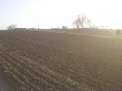 20160404_183454.jpg