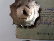 20160405_195738.jpg