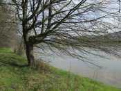 IMG_0311.JPG