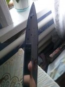 CAM01062.jpg