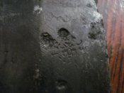 DSC07948.JPG