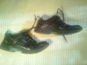 IMG_20160403_094103_1.jpg