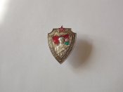 Нагрудный знак -Старший пограннаряда.