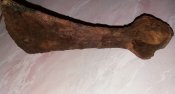 20160403_220320.jpg
