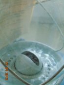 DSC02514.JPG