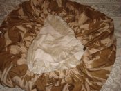 DSC09260.JPG