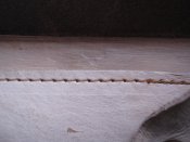 IMG_6051.jpg