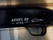 IMG_20160329_180109.jpg