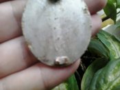 2016-04-09 09.07.29.jpg