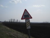 DSCN4601.JPG