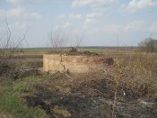 DSCN4613.JPG