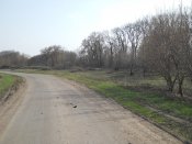 DSCN4619.JPG