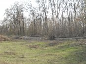 DSCN4622.JPG
