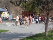 IMG_20160409_124223.jpg