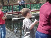 IMG_20160409_124854.jpg