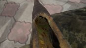 20160408_150459.jpg