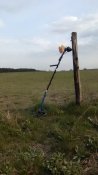 WP_20160409_001.jpg