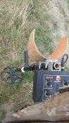 WP_20160409_003.jpg