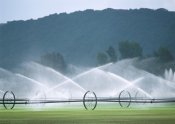sprinkler(1).jpg