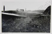 CIMG3594.jpg