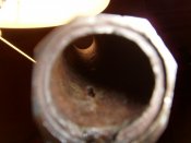 S73R3392.JPG