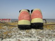 IMG_3016.JPG
