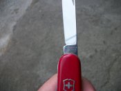викс 014.jpg