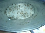 DSC03603.JPG