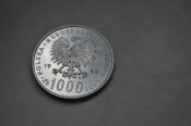 DSC_0731.JPG