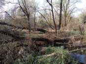 IMG_2016-04-09_160215[1].jpg