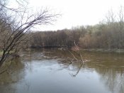 IMG_2016-04-09_135023[1].jpg