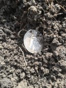 20160409_120814.jpg