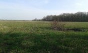 20160410_163321.jpg